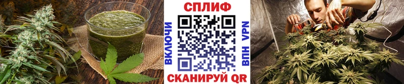 дарнет шоп  Артёмовский  Cannafood конопля 