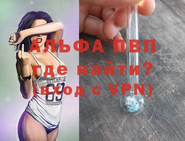 стафф Алзамай