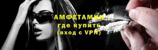 стафф Алзамай