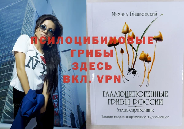 стафф Алзамай