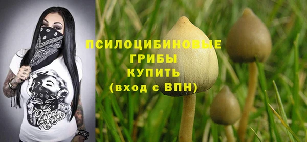 прущие крисы Алексин
