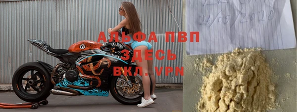 стафф Алзамай