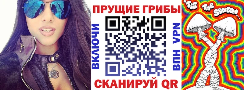 Галлюциногенные грибы Psilocybe наркота Артёмовский